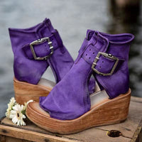 Viola