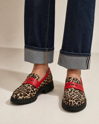 Marrone/Kaki